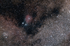 2017 Best Overall Photo - Jason Furman