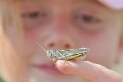 2018 Best Bug/Reptile Photo - George White