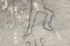 M_IMG_2195