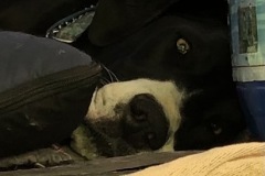 M_IMG_E7629