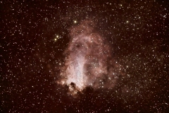 N_KenGee_swan