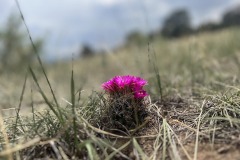 M_IMG_3447