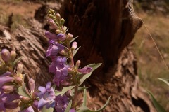 M_LRM_20230616_122640