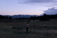 P_image_50390529