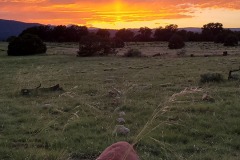 2025_RMSS_Gallery_0013