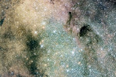 2025_RMSS_Gallery_0019