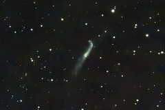 2025_RMSS_Gallery_0027