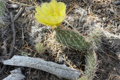 2025_RMSS_Gallery_0030