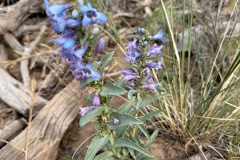 2025_RMSS_Gallery_0040