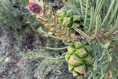 2025_RMSS_Gallery_0041