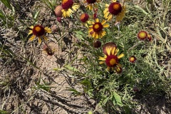 2025_RMSS_Gallery_0043