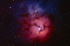 2025_RMSS_Gallery_0044