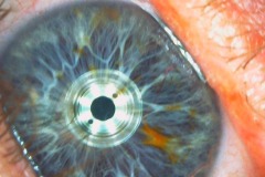 2025_RMSS_Gallery_0054