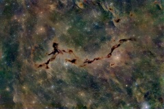 2025_RMSS_Gallery_0069