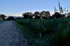 2025_RMSS_Gallery_0070