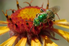 2025_RMSS_Gallery_0071