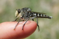 2025_RMSS_Gallery_0072