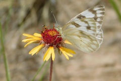 2025_RMSS_Gallery_0074