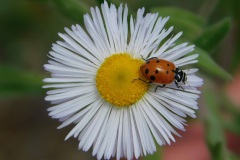 2025_RMSS_Gallery_0076