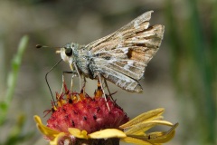 2025_RMSS_Gallery_0077