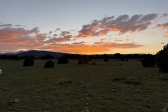 2025_RMSS_Gallery_0087