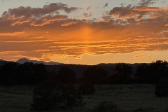 2025_RMSS_Gallery_0088