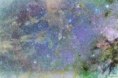 2025_RMSS_Gallery_0097