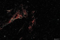 2025_RMSS_Gallery_0105