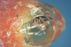 2025_RMSS_Gallery_0106