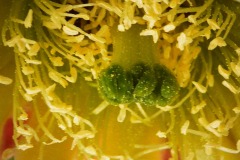 2025_RMSS_Gallery_0107