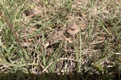 2025_RMSS_Gallery_0112