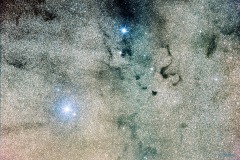 2025_RMSS_Gallery_0114